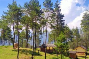Keajaiban Alam Tasikmalaya: Aneka Wisata Alami di Jawa Barat